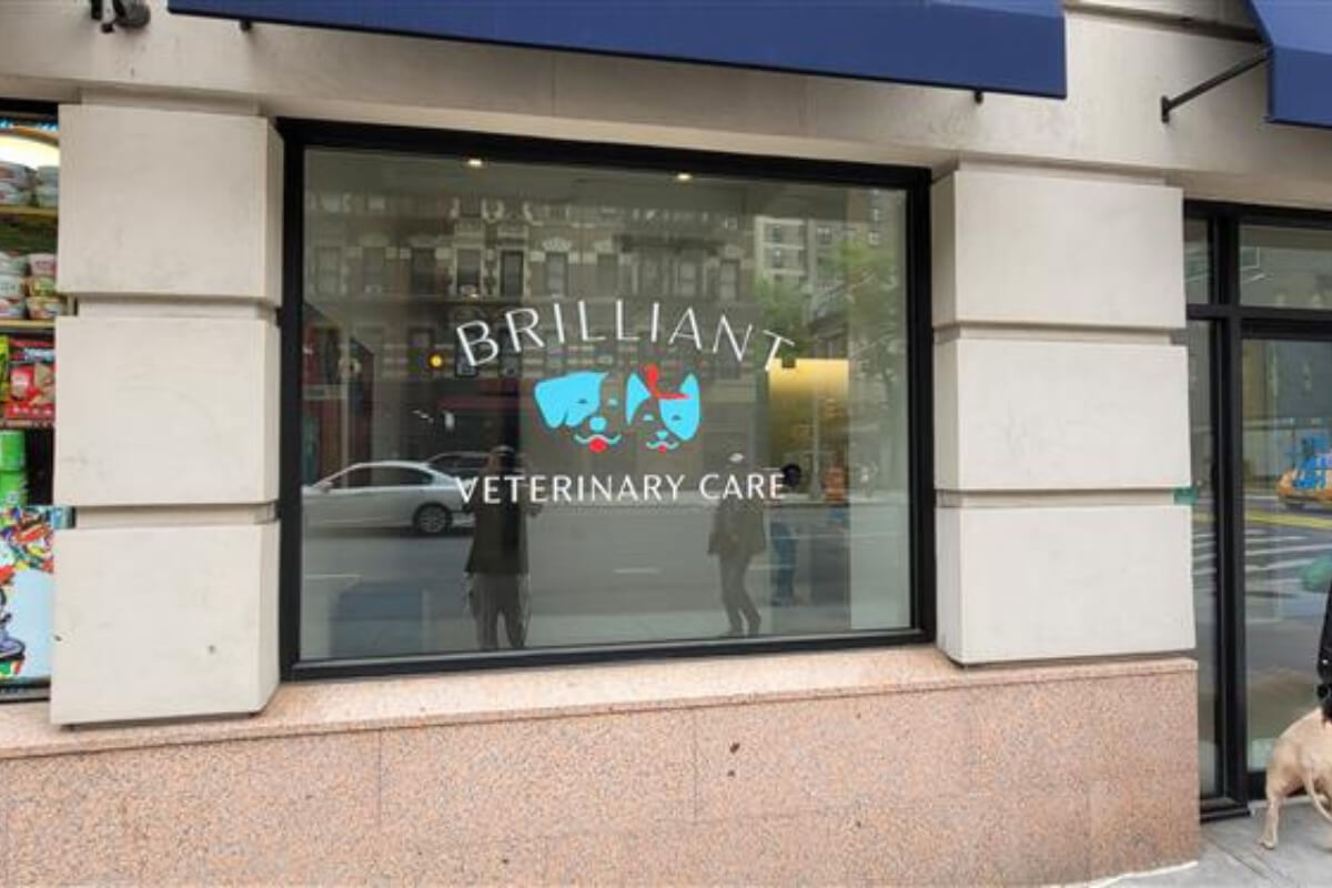 Veterinary clinic window decal signage